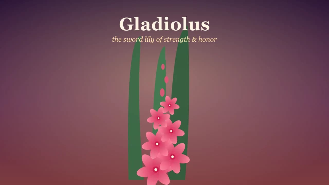 Gladiolus Flower Meaning: The Sword Lily of Strength, Honor, and Love